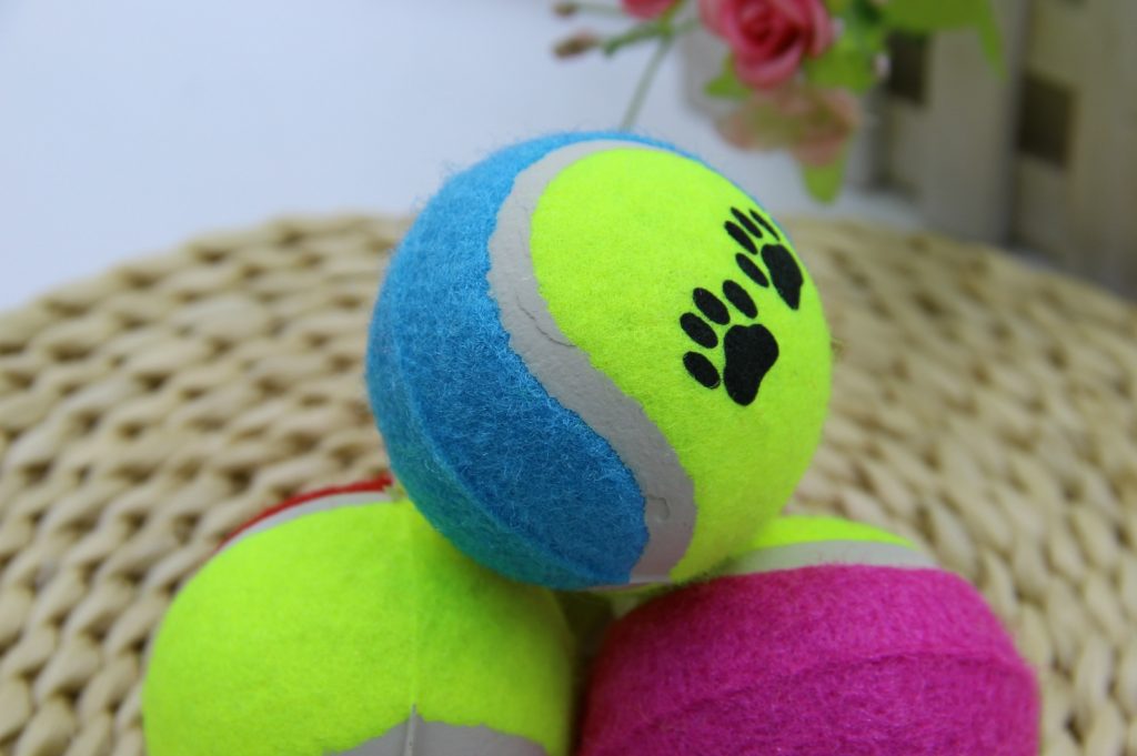 pet cage ball